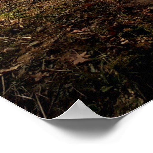 田舎の紅葉 ポスター (角)