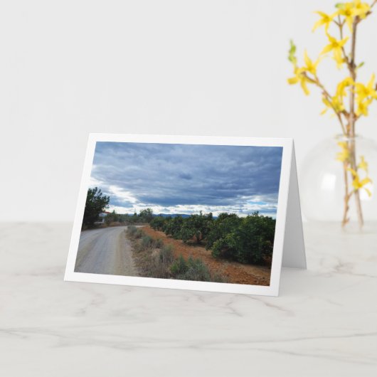 田舎の道の風景 カード (黄色い花)