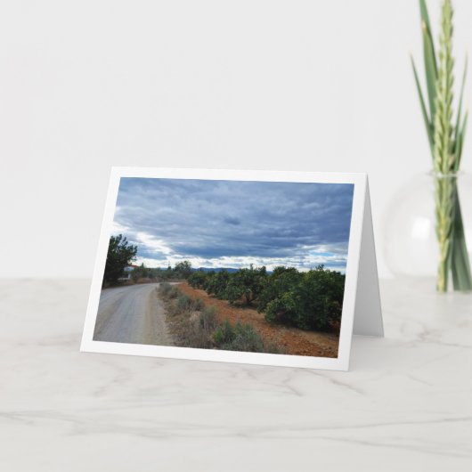 田舎の道の風景 カード (正面)