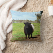 田舎の雌ガロウェイ牛、クッション クッション (ブランケット)