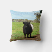 田舎の雌ガロウェイ牛、クッション クッション (裏面)