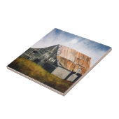 田舎の風景は納屋のタイルを放棄した。 タイル (側面)