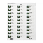 田舎の風景は鳥の夏の岩を松に生える。 ラベル (フルシート)