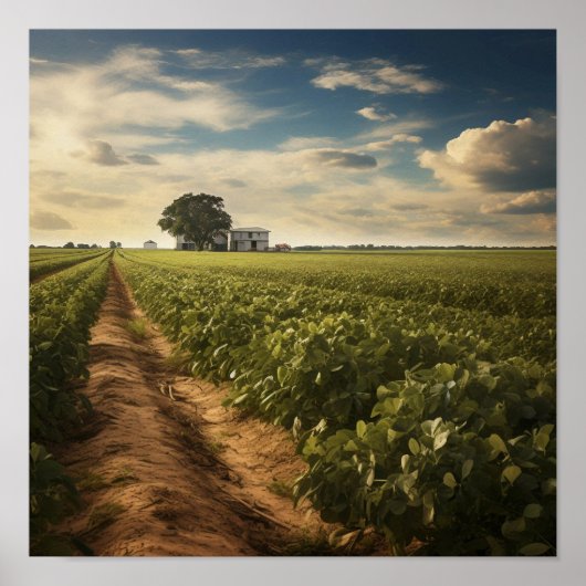 田舎ピーナッツ畑 ポスター (正面)