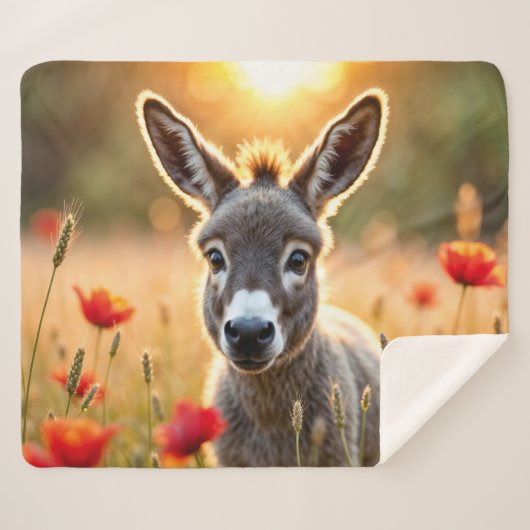 田舎ロバの不思議な目の平和芸術 シェルパブランケット (正面(横))