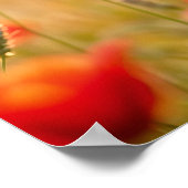 田舎ロバの不思議な目の平和芸術 ポスター (角)