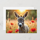 田舎ロバの不思議な目の平和芸術 ポストカード (正面/裏面)