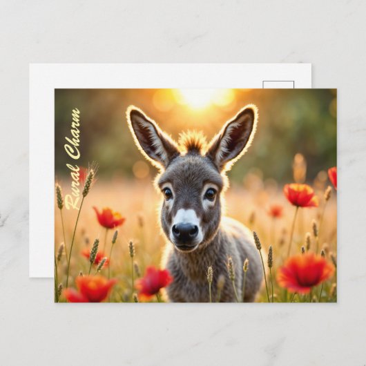 田舎ロバの不思議な目の平和芸術 ポストカード (正面/裏面)