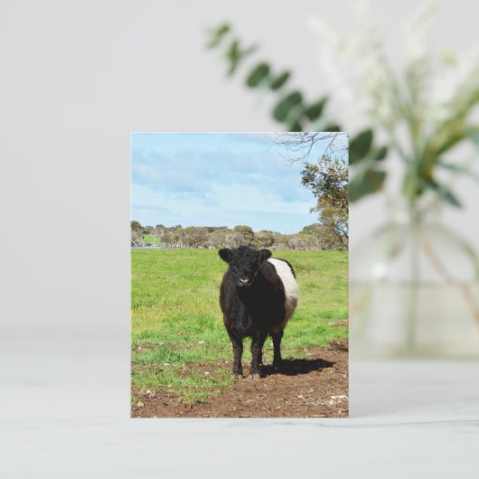 田舎女流牛葉書 ポストカード (スタンド正面)