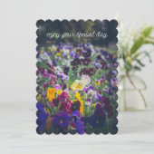 田舎庭カラフルの開花のパンジー シーズンカード (スタンド正面)