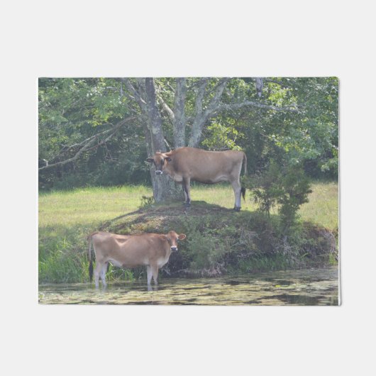 田舎牛 ドアマット (正面)