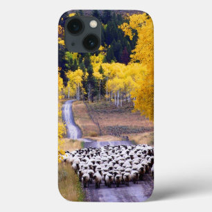 田舎道のヒツジ iPhone 13ケース
