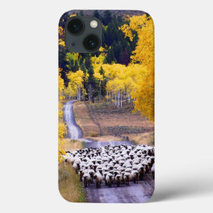 田舎道のヒツジ iPhone 13ケース