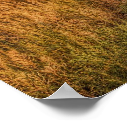 田舎道の夕日 ポスター (角)