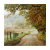 田舎道の秋 タイル (正面)