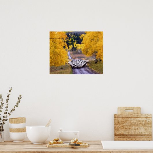 田舎道の羊 ポスター (キッチン)