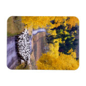 田舎道の羊 マグネット (横)