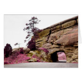 田舎道トンネル (正面横)