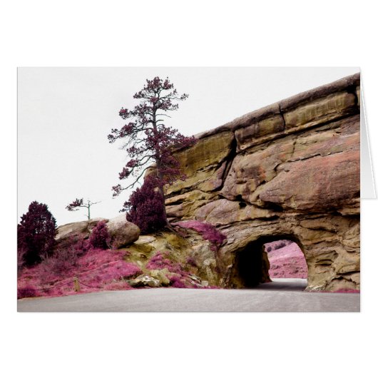 田舎道トンネル (正面横)