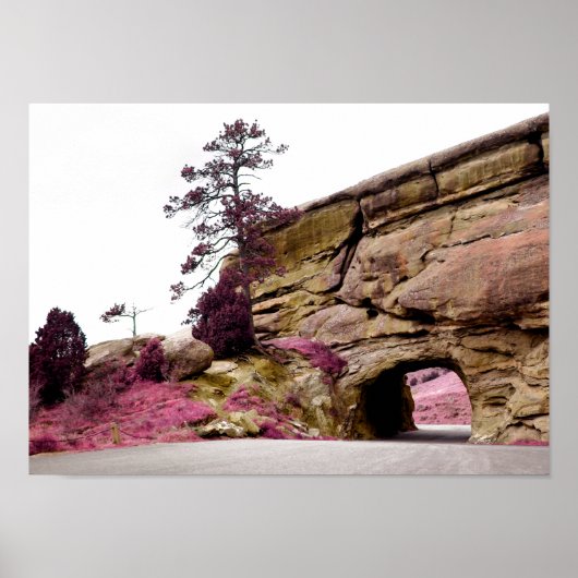 田舎道トンネル ポスター (正面)