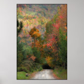 田舎道 ポスター (正面)