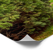 田舎道 ポスター (角)