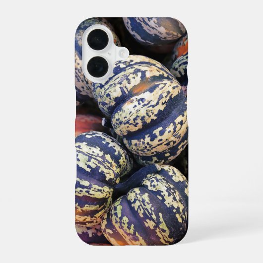 田舎風のストライプのカボチャ  iPhone 16ケース (裏面)