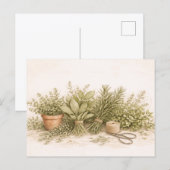 田舎風ハーブ束の植物画 水彩の静物画 ポストカード (正面/裏面)