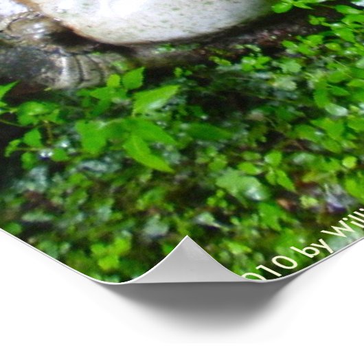 田貫像 ポスター (角)