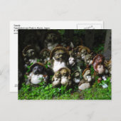 田貫 ポストカード (正面/裏面)