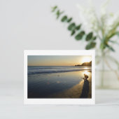 由比ヶ浜ビーチ：鎌倉市 ポストカード (スタンド正面)