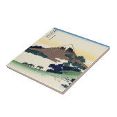 甲斐国のInumeのパス タイル (側面)