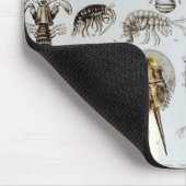 甲殻類および蜘蛛形綱 マウスパッド (コーナー)