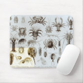 甲殻類および蜘蛛形綱 マウスパッド (マウス)