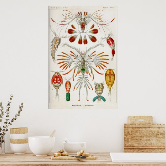 甲殻類 ポスター (キッチン)