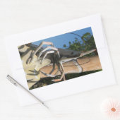 甲殻類AKAロブスターヘッド…仏教地獄 長方形シール (封筒)