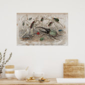 甲虫アンティーク平版プリント ポスター (キッチン)