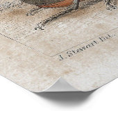 甲虫アンティーク平版プリント ポスター (角)