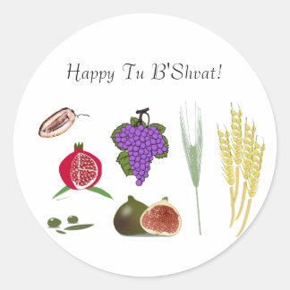 甲 ラウンドシール