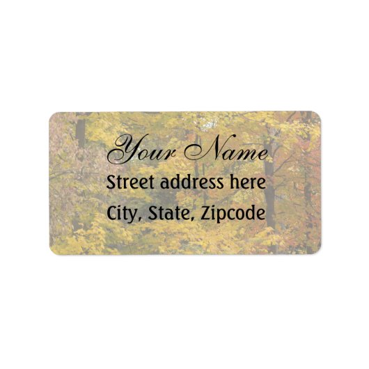 甲 ラベル (正面)