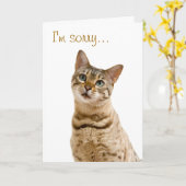 申し訳ありませんが、お許し下さい カード (黄色い花)