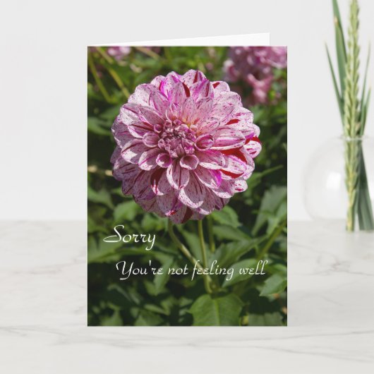 申し訳ありません、あなたは感じお元気ではありません カード (正面)