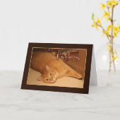 申し訳ありません カード (黄色い花)