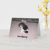 申し訳ありません カード (黄色い花)