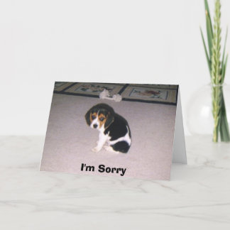 申し訳ありません カード