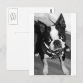 申し訳ありません ポストカード (正面/裏面)