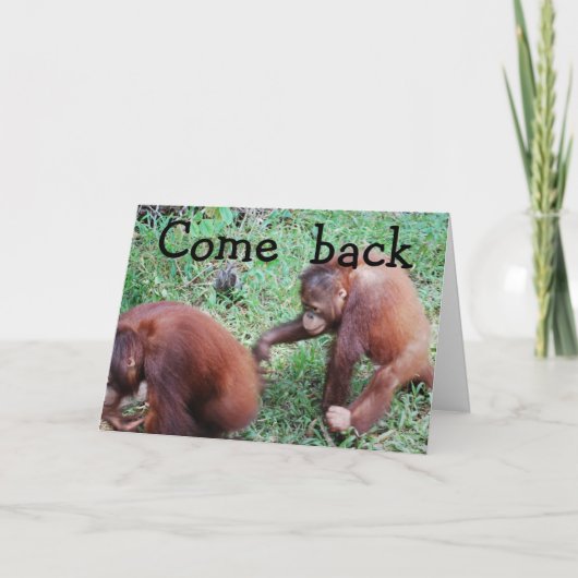 申し訳ありません。一緒に戻ろう カード (正面)