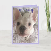 申し訳ございませんハングリーカードブルドッグパフランスのッピーパステル カード (正面)