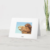 申し訳ございません – カード (裏面)