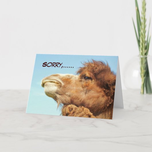 申し訳ございません – カード (正面)